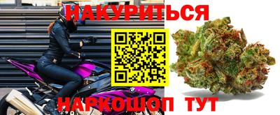 крисы Гусев