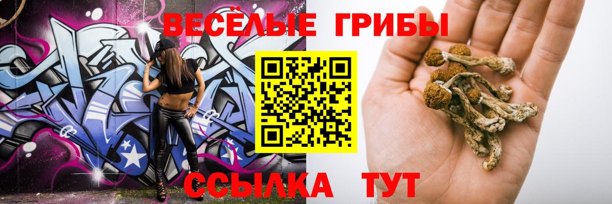 Шарыпово  Галлюциногенные грибы Cubensis  Галлюциногенные грибы ЛСД  Вход с VPN 